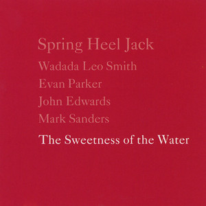 The Sweetness of the Water cover