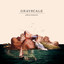 Adornment cover