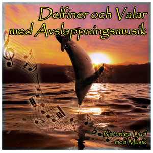 Naturliga Ljud med Musik