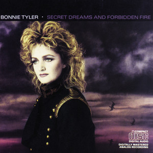 Secret Dreams and Forbidden Fire album