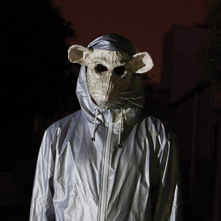 Tobacco Rat Photo