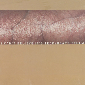 I Can't Believe It's Teddybears STHLM cover