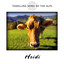 Yodelling Song of the Alps Albumcover
