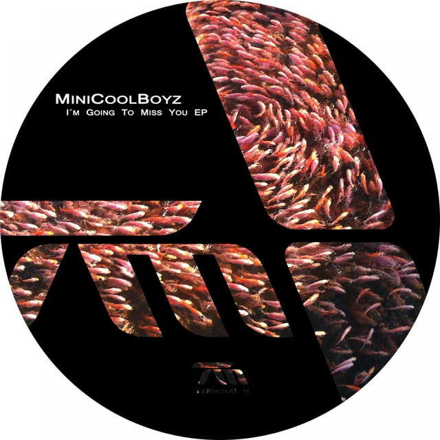 Minicoolboyz Photo