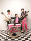 The Pink Spiders