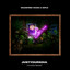 JustYourSoul (Tchami Remix) Valentino Khan & Diplo