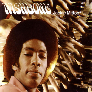 Wishbone cover
