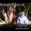 Primordial Sonics Albumcover