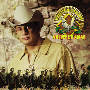 Volveré a amar album