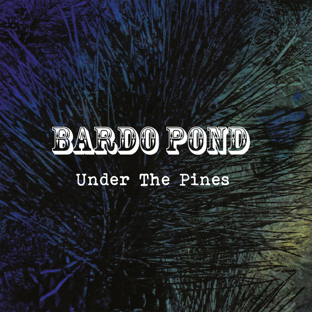 Under The Pines cover