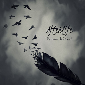 Summer Effect Photo