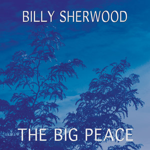 The Big Peace album