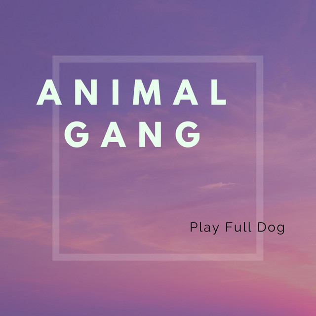 Play-Full Photo
