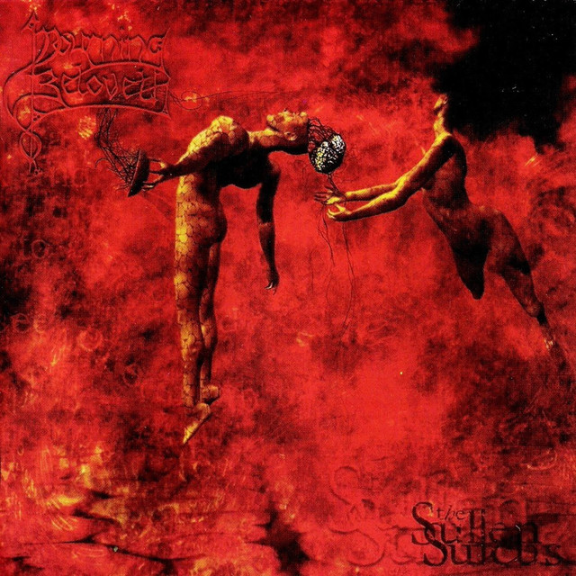 The Sullen Sulcus cover