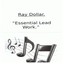 Essential Lead Work Albumcover