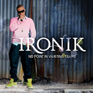 No Point In Wasting Tears (New version) cover