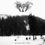 Abstrakter Wald Albumcover