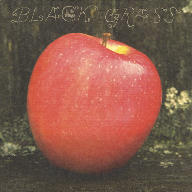 Black Grass cover