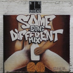 Same Song Different Mix Albumcover