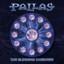 Blinding Darkness Albumcover