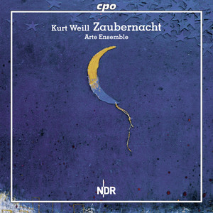 Zaubernacht cover
