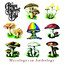 Mycology: An Anthology cover
