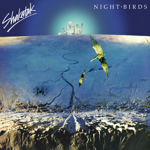Night Birds album