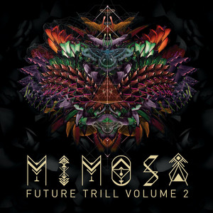 Future Trill cover