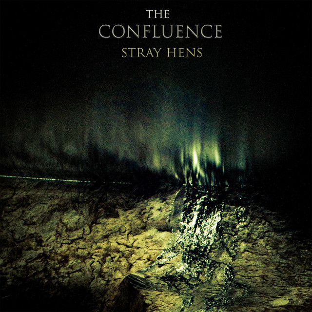 Stray Hens Photo