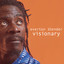Visionary cover