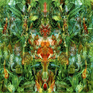 Emerald Aether: Shape Shifting album