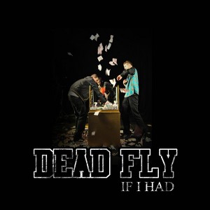 Dead Fly