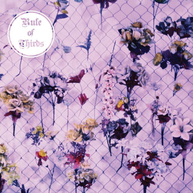 Rule of Thirds Photo