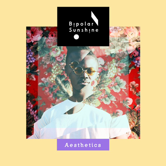 Aesthetics cover