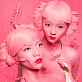 FEMM Photo
