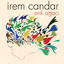 Erik Ağacı Albumcover