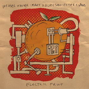 Electric Fruit album