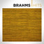 Brahms Hits cover