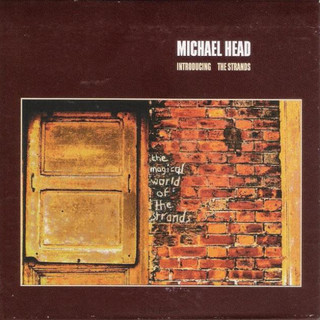 Michael Head & The Strands Photo