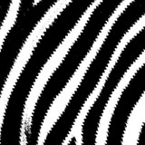 Sexy Zebras profile