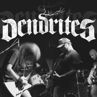Dendrites Photo