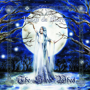 The Silver Wheel cover