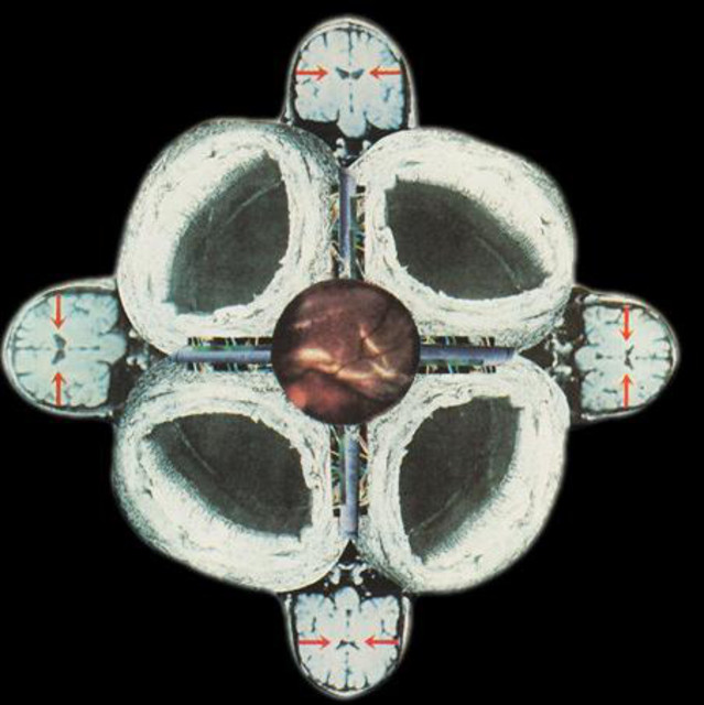 Solar Quest photo