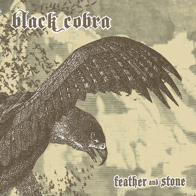 Feather And Stone cover