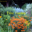 Time Garden Albumcover