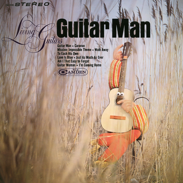 Living Guitars Photo