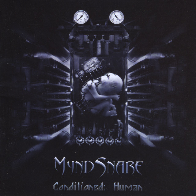 Myndsnare Photo