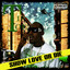Show Love or Die Albumcover