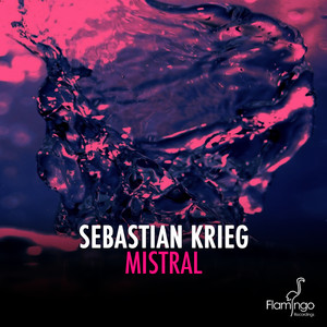 Sebastian Krieg