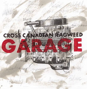 Garage cover